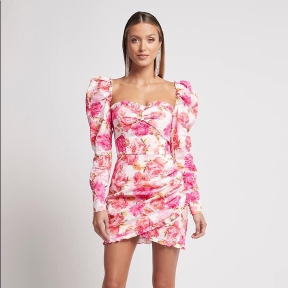 SOFIA the label Dolce Dress NWT - BLOGGER FAVORITE - Picture 4 of 14